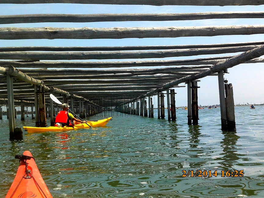 Rutes en kayak pel Delta de l’Ebre amb paisatges naturals i experiències al riu Ebre