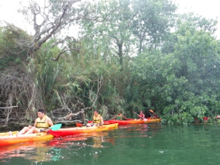 Navegando en kayak, sumergidos en la exuberante vegetación de las orillas del Ebro.