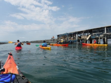 Rutes en kayak pel Delta de l’Ebre amb paisatges naturals i experiències al riu Ebre