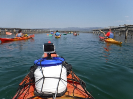 Varios kayaks de diferentes colores amarrados en un muelle de madera, listos para la próxima aventura.