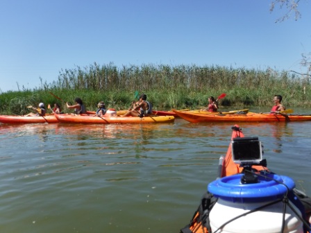 Ruta en kayak pel Canal de Migjorn fins a l’Illa de Buda al Delta de l’Ebre amb grup navegant