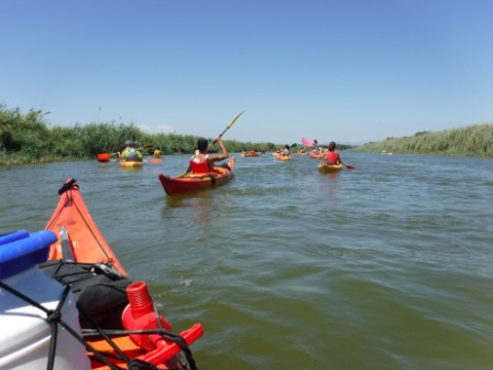 Una jornada de remo en un amplio canal, disfrutando del sol y la compañía en el entorno natural del Delta del Ebro.