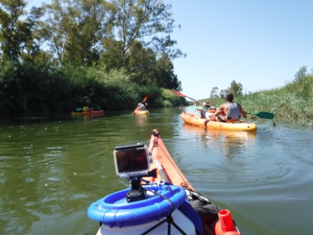 Vista desde la proa de un kayak de un grupo de personas remando en un canal natural, rodeado de vegetación exuberante.