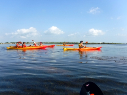 Rutes en kayak pel Delta de l’Ebre amb paisatges naturals i experiències al riu Ebre