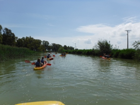 Un grupo de kayakistas navega por un amplio canal flanqueado por vegetación y árboles.