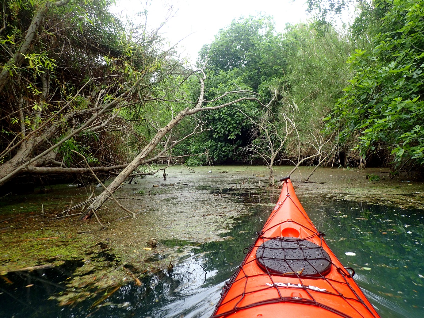 kayak al ebre, racons del riu