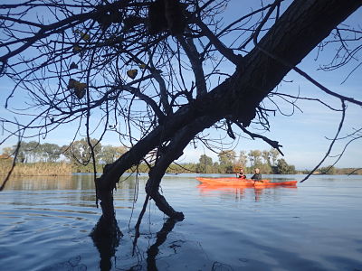 kayak ebre deltaventur