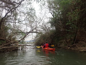 delta de l'ebre barranc de la galera kayak amb deltaventuyr