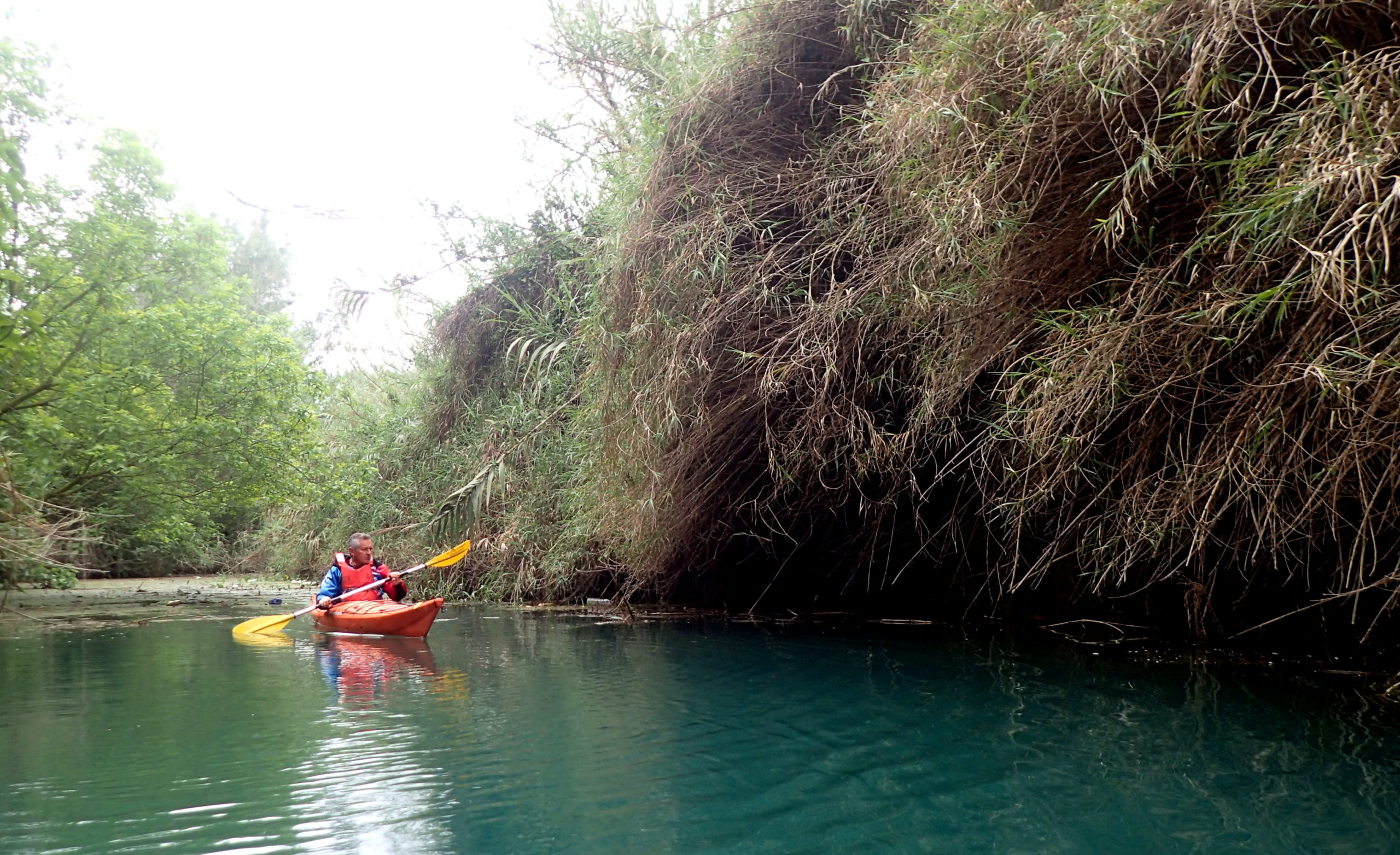 kayak ebre deltaventur