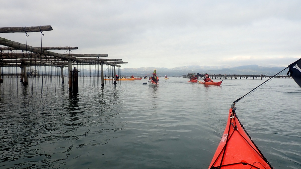 kayak al delta de l'ebre