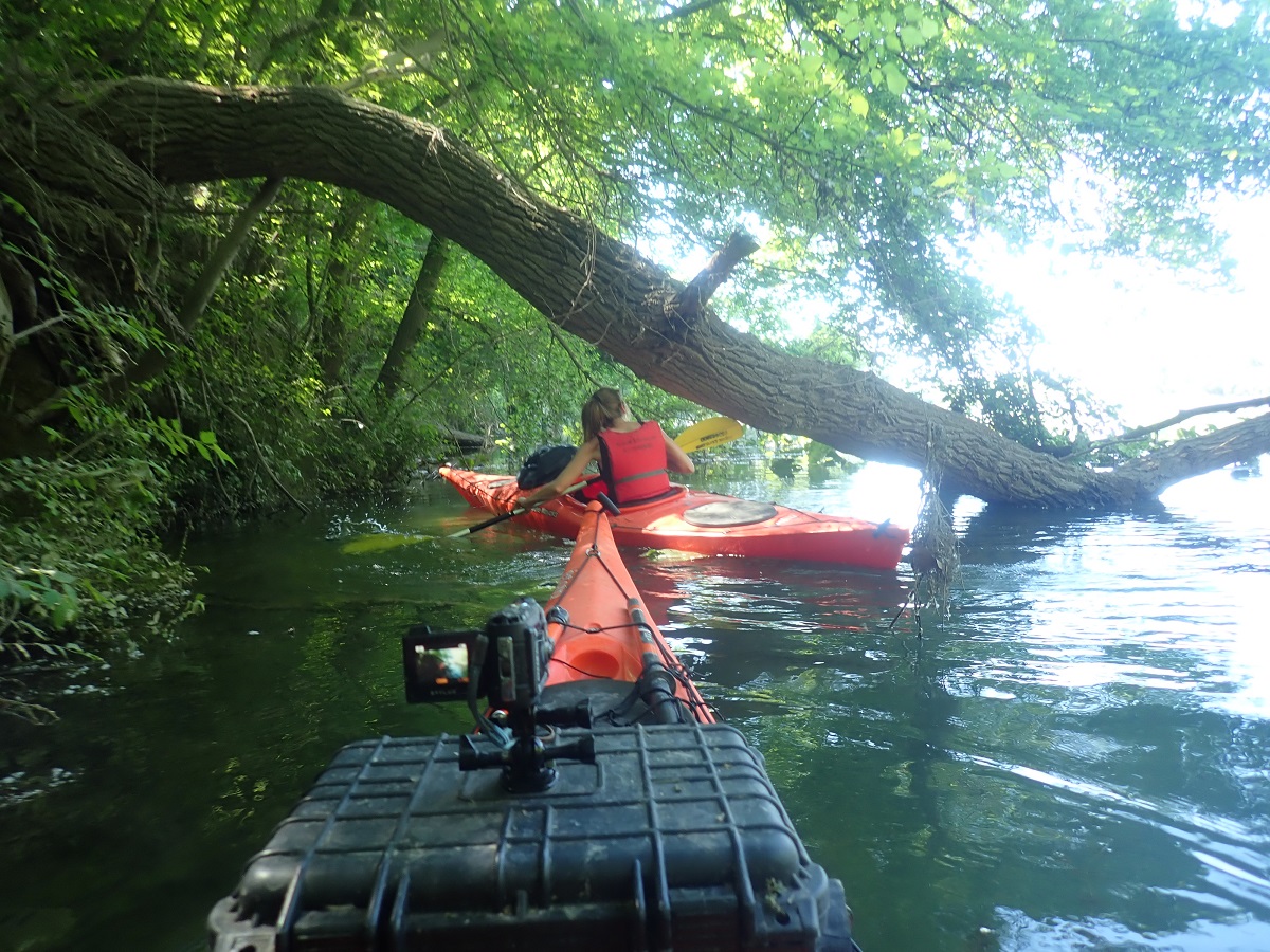kayak ebre, uilla d'audi