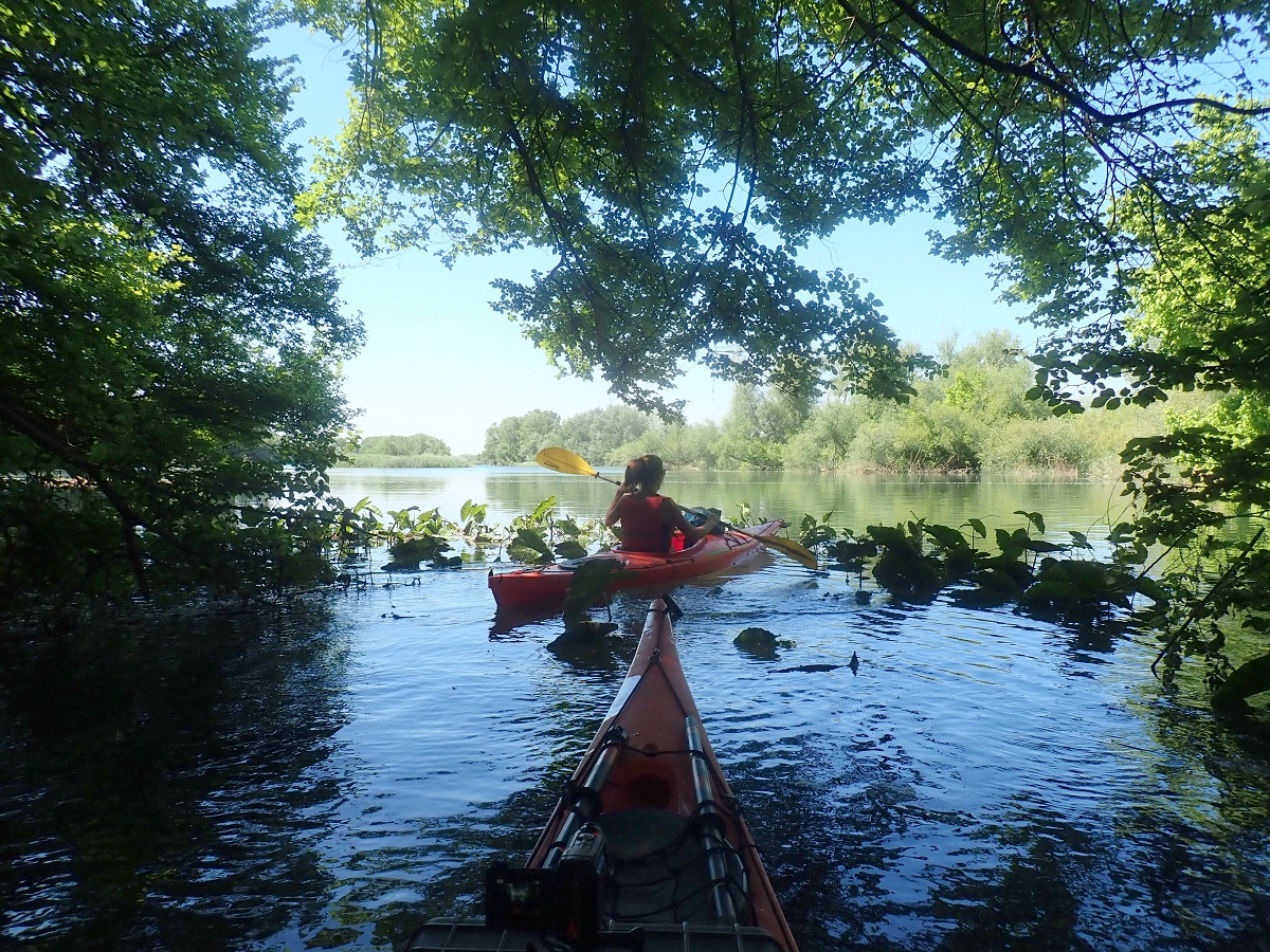 l'Ebre desconegut amb kayak