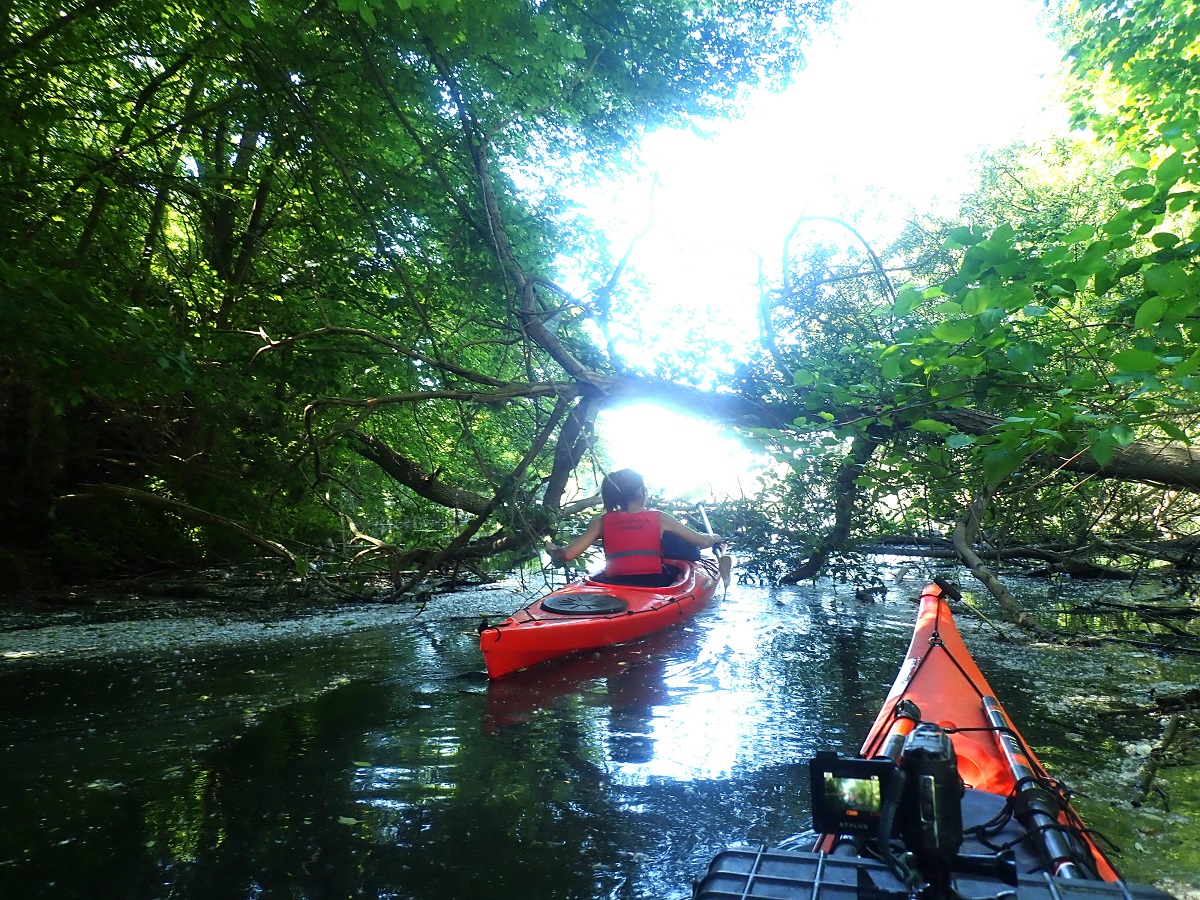 pasos per kayak idilics, al ebre, a l'illa d'Audi