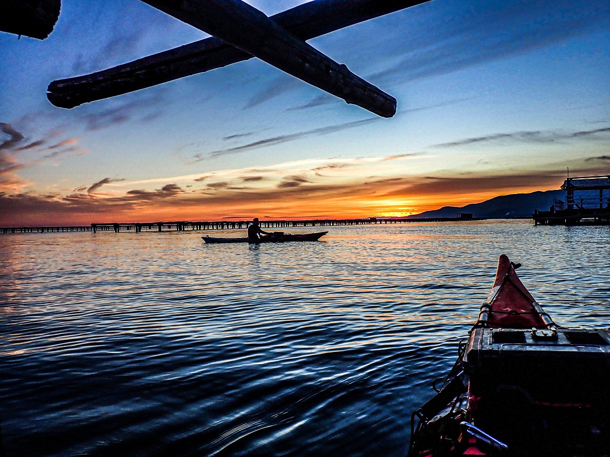 kayak muscleres al delta de l'ebre