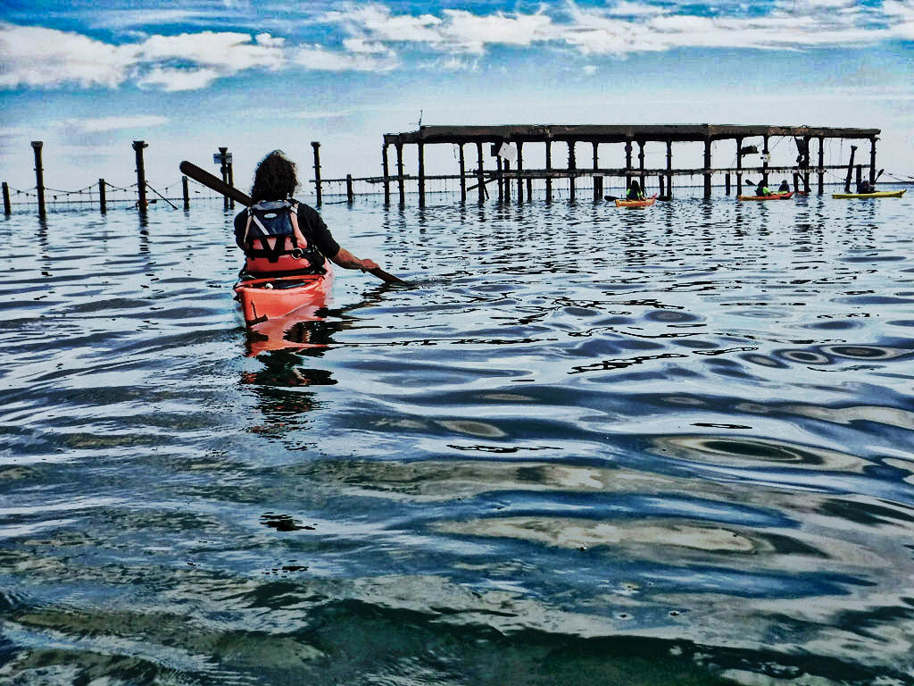 kayak al delta de l'ebre