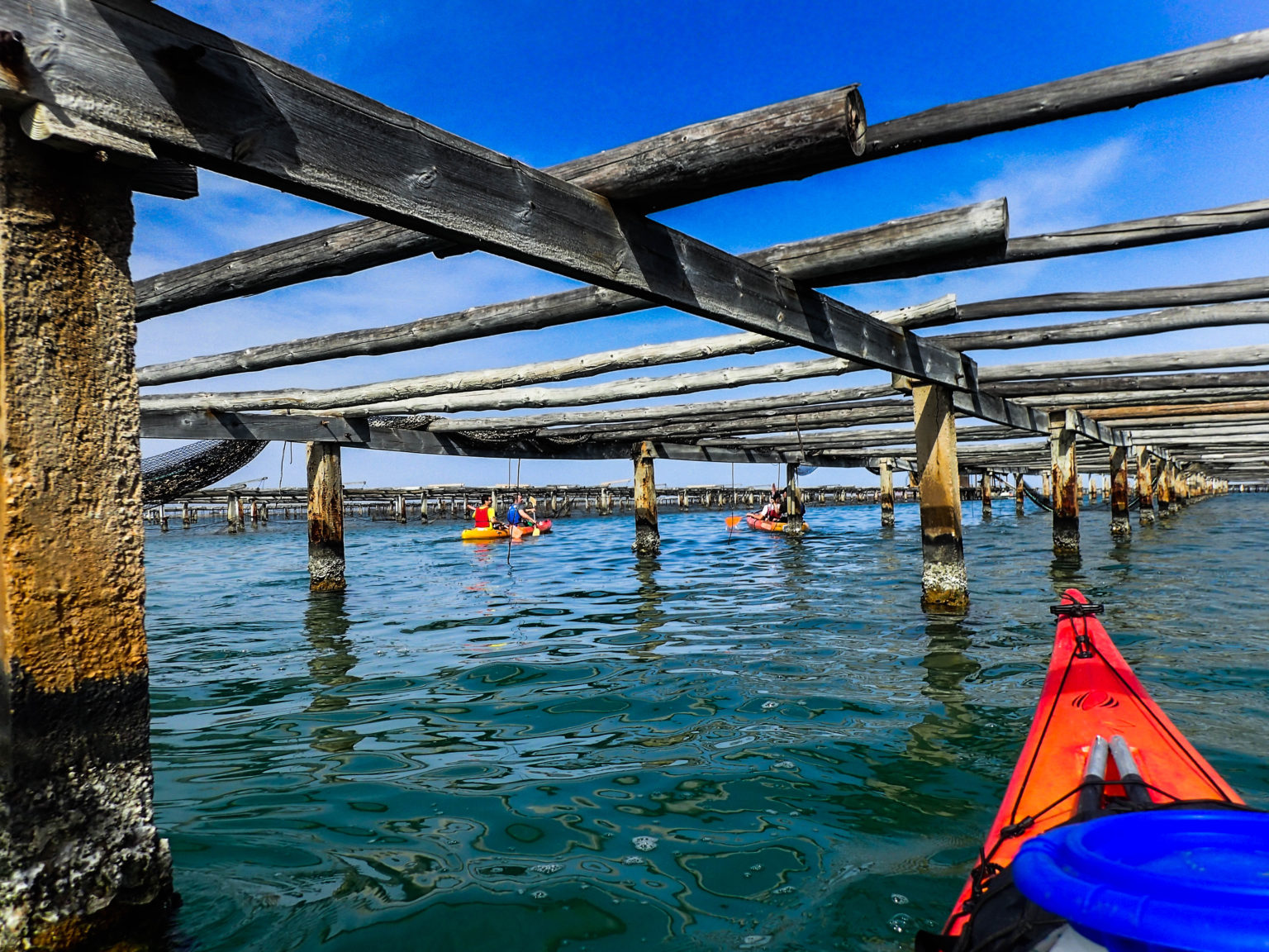 Rutes en kayak pel Delta de l’Ebre amb paisatges naturals i experiències al riu Ebre