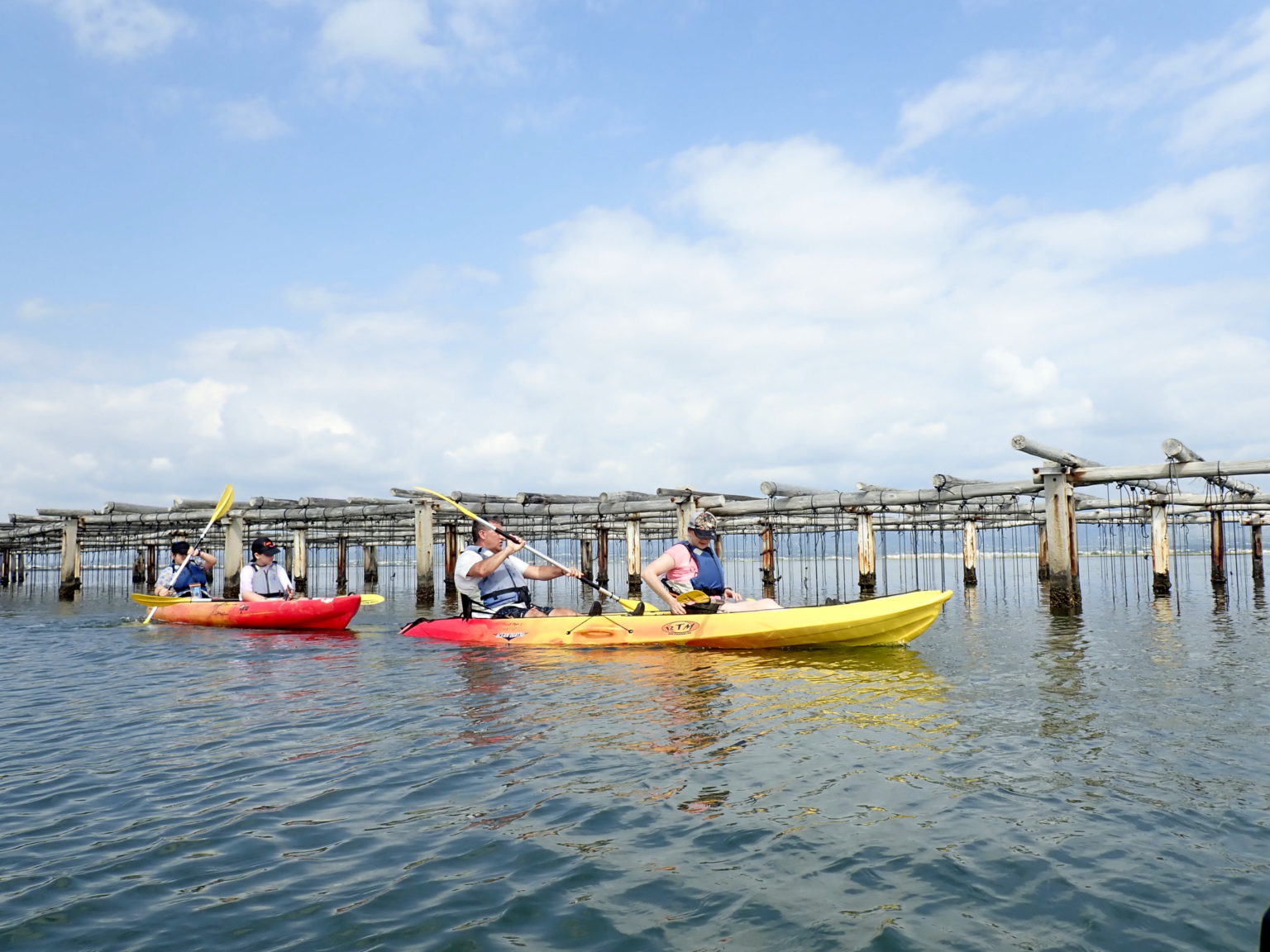 Tres kayaks con personas remando junto a estructuras de acuicultura en aguas tranquilas.