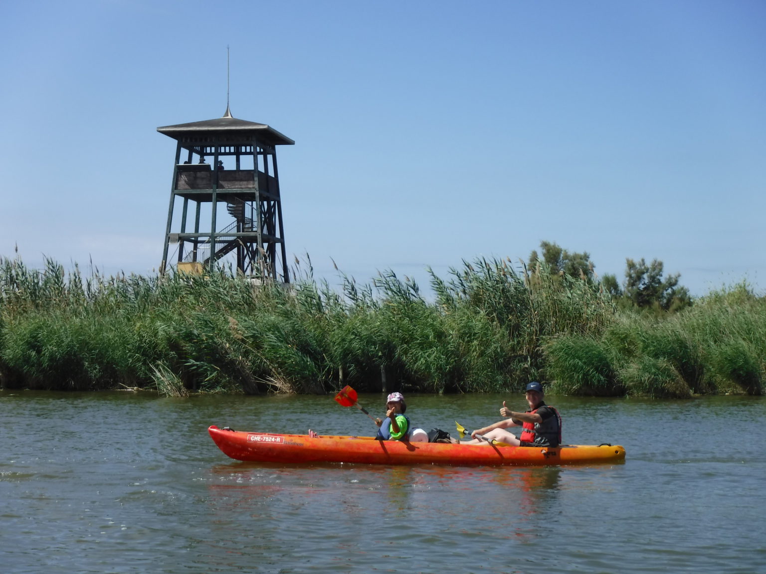 Ruta en kayak pel Canal de Migjorn al Delta de l’Ebre envoltada de natura i fauna