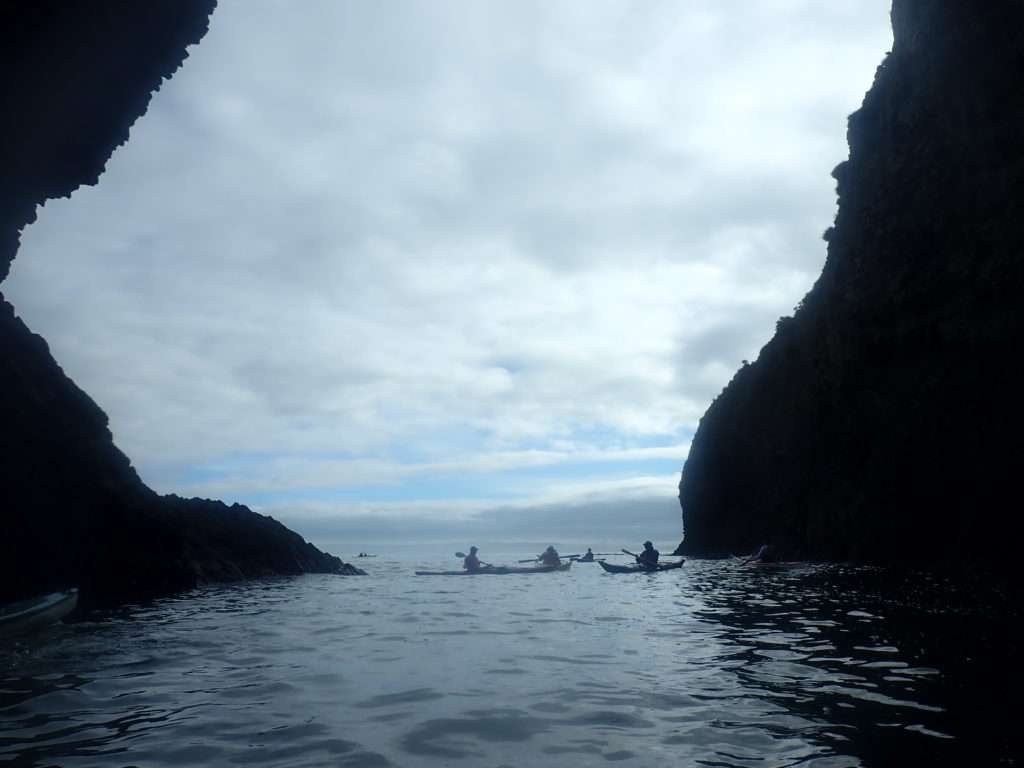 racons plens de sorpreses. kayakebre i deltaventur van estar aqui