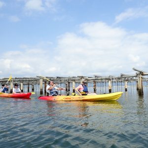 Tres kayaks con personas remando junto a estructuras de acuicultura en aguas tranquilas.