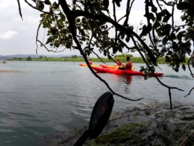 Varios kayakistas en kayaks rojos y amarillos en un cuerpo de agua, vistos a través de las ramas oscuras de un árbol.