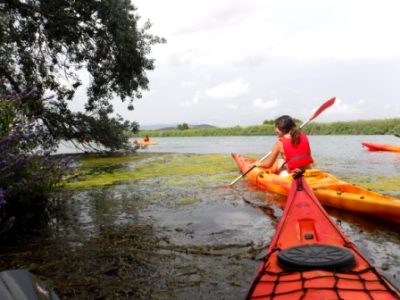 Una kayakista en un vibrante kayak naranja y amarillo navega por una laguna, rodeada de vegetación.