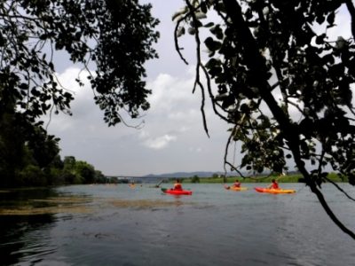 Kayakistas disfrutan de la calma de las aguas, enmarcados por la silueta de los árboles y un cielo cambiante.
