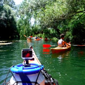 : Kayakistas remando por un río de aguas verdes, rodeados de abundante vegetación que crea un túnel natural.