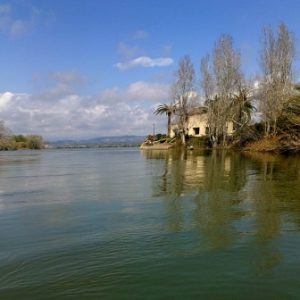 Un kayak solitario se desliza suavemente por las aguas del río Ebro, rodeado por la exuberante vegetación de la ribera, bajo un cielo sereno.