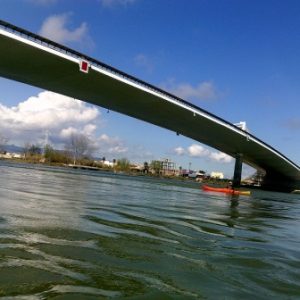 El imponente puente "Lo Passador" se extiende sobre las aguas del río Ebro, sirviendo de conexión vital y uniendo las riberas con su moderna estructura.