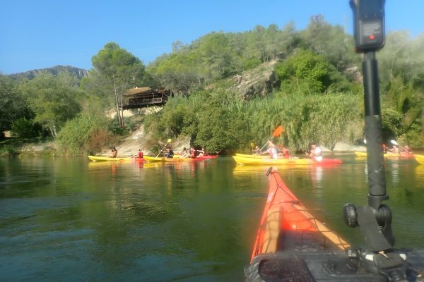 Palistas disfrutando de un día soleado en el río Ebro, cerca de Miravet, con la exuberante vegetación y casas en la orilla.