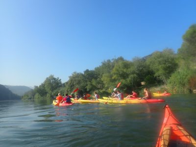 Numerosos kayaks con sus ocupantes recorren las aguas del río Ebro bajo un cielo azul despejado, flanqueados por orillas densamente arboladas.