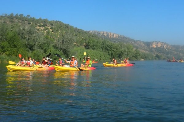 Numerosos kayaks de colores vivos con personas a bordo navegan en fila por un río amplio, flanqueado por exuberante vegetación y formaciones rocosas bajo un cielo despejado.