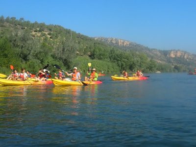 Un amplio grupo de personas en kayaks de varios colores disfruta de un día soleado navegando por el río, con paisajes montañosos de fondo.