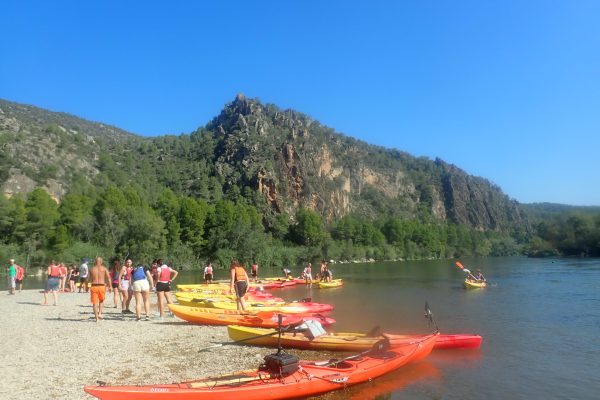 Un grupo de personas se prepara para una emocionante jornada de kayak en un amplio río, con una flota de embarcaciones coloridas en la orilla y majestuosas montañas como telón de fondo.