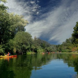Remando tranquilamente por un río rodeado de naturaleza exuberante.