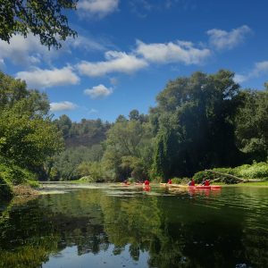 Ruta en kayak pel riu Ebre entre Benifallet i Xerta envoltada de natura a les Terres de l’Ebre