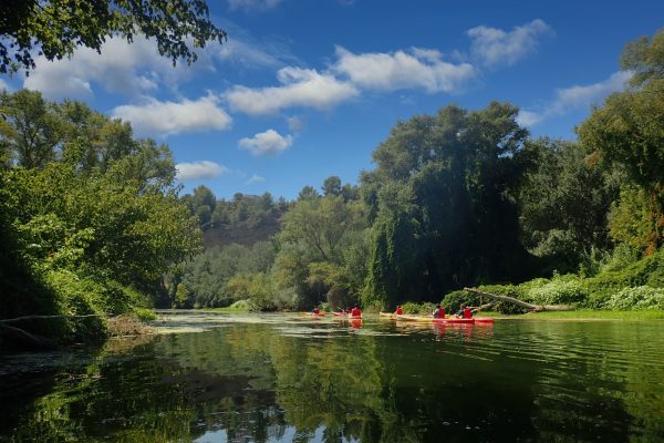 Ruta en kayak pel riu Ebre entre Benifallet i Xerta envoltada de natura a les Terres de l’Ebre